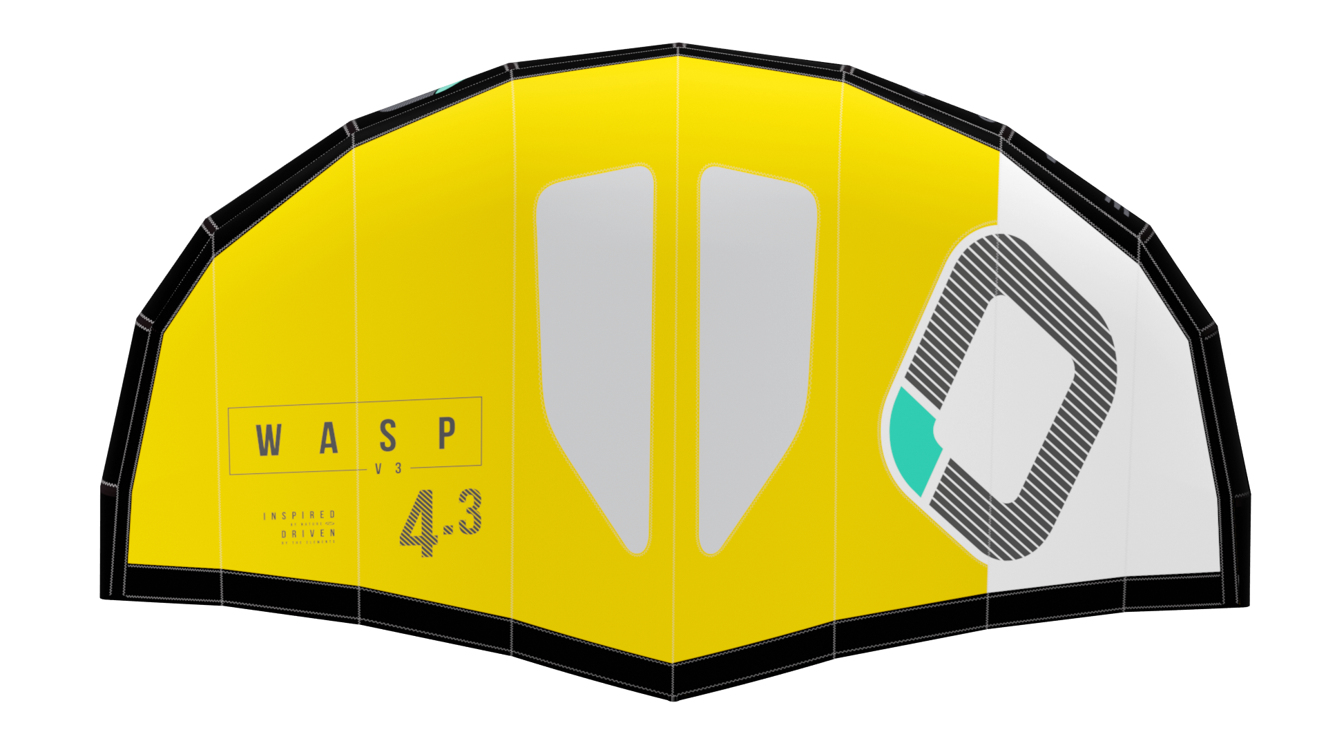 WASP V3 Wing with bag and waist leash