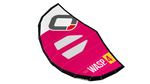 WASP V2 Wing with bag and waist leash