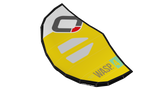 WASP V2 Wing with bag and waist leash