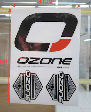 Hoja Adhesivos Ozone